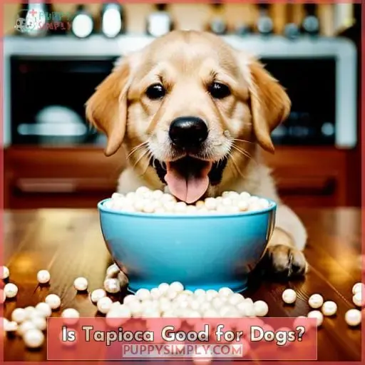 Is Tapioca Good for Dogs