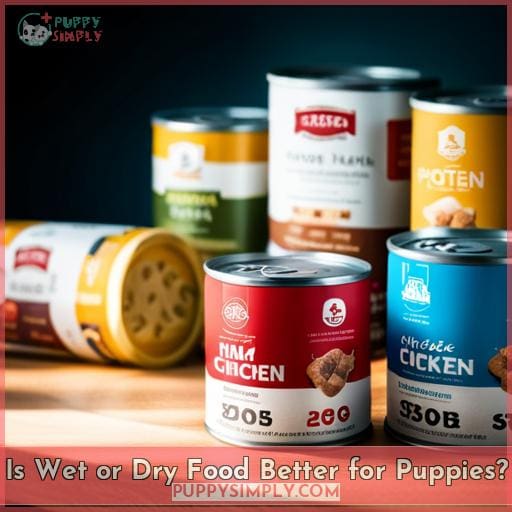 Is Wet or Dry Food Better for Puppies