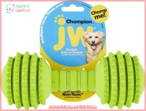 JW Pet Chompion Dog Toy,