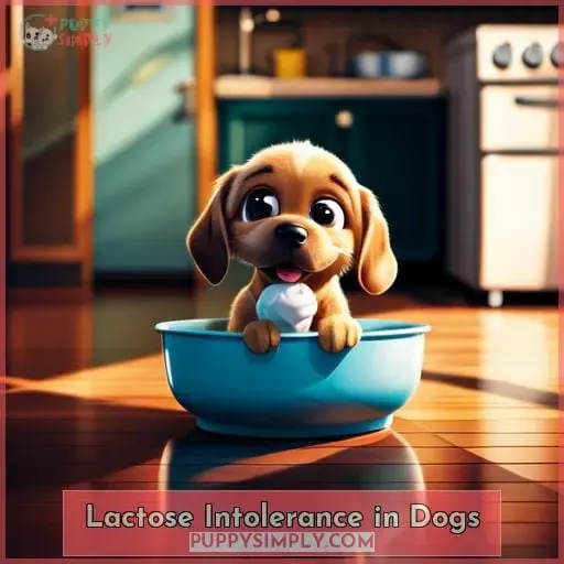 Lactose Intolerance in Dogs