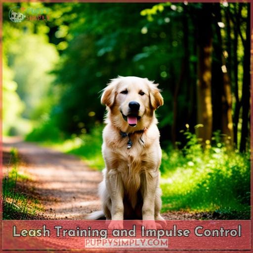 Leash Training and Impulse Control