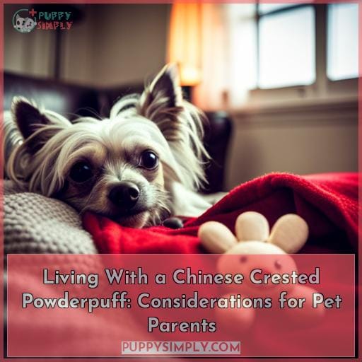 Living With a Chinese Crested Powderpuff: Considerations for Pet Parents
