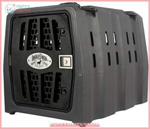 Lucky Kennel Intermediate B07WRW25Y7