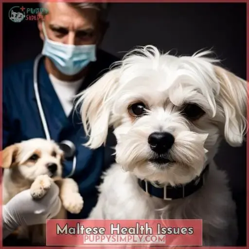 Maltese Health Issues