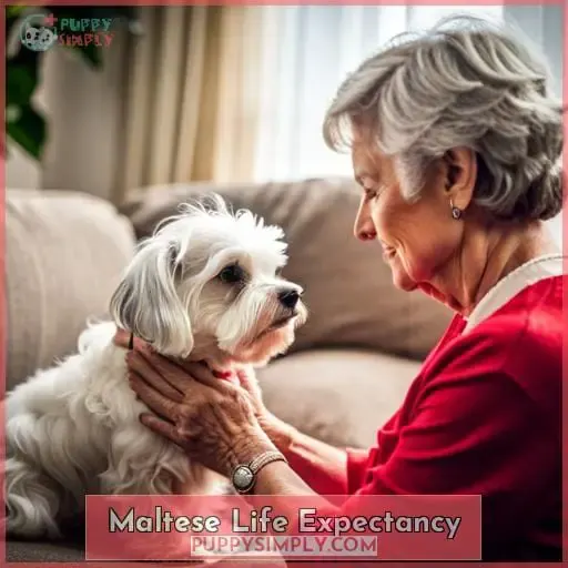 Maltese Life Expectancy