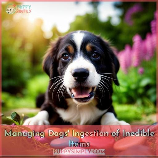 Managing Dogs