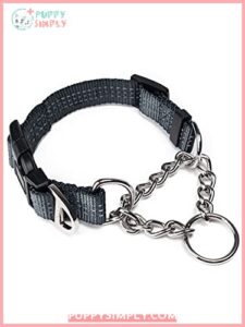 Martingale Collar, Training Dog Collar, B01N5MQ2E8