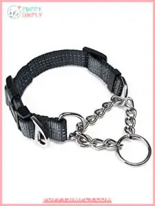 Martingale Collar, Training Dog Collar,