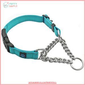 Max and Neo Stainless Steel B07H2JW55G