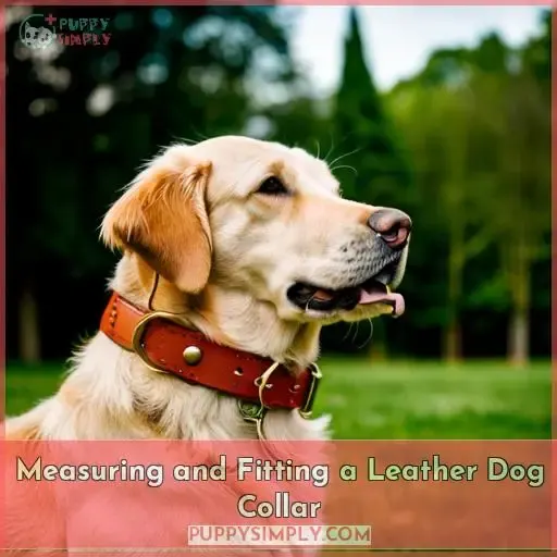 Measuring and Fitting a Leather Dog Collar