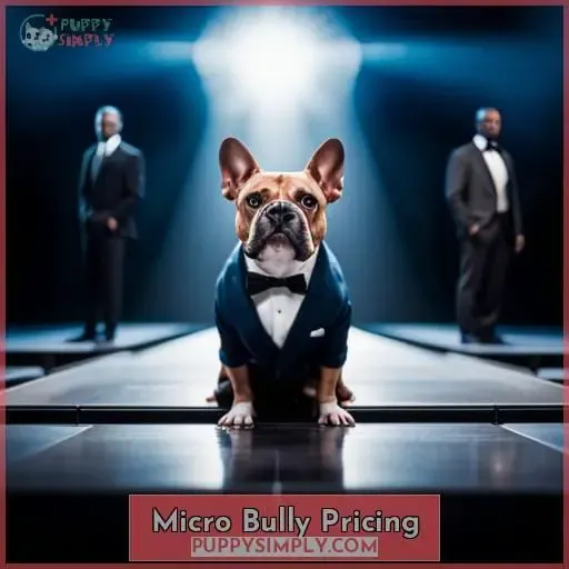 Micro Bully Pricing