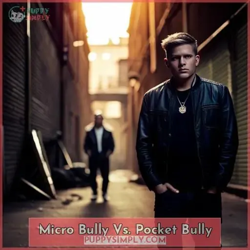 Micro Bully Vs. Pocket Bully