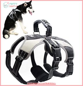 Mihachi No Pull Dog Harness B077PT5QH1