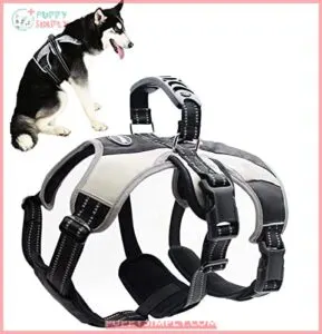 Mihachi Escape Proof Dog Harness