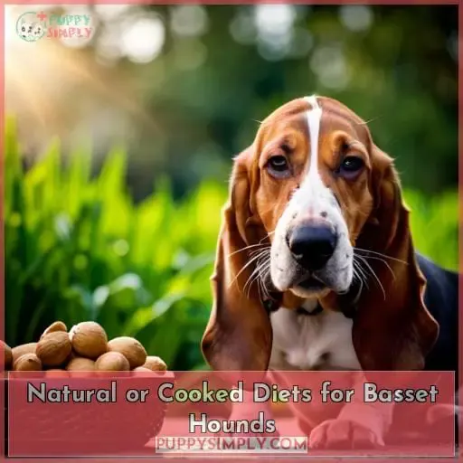 Natural or Cooked Diets for Basset Hounds