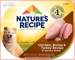 Nature's Recipe Chicken & Turkey 167887