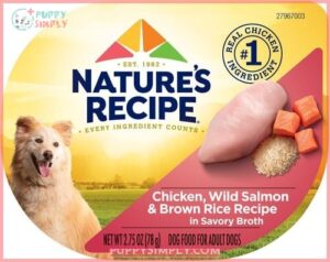 Nature's Recipe Chicken & Wild 167884