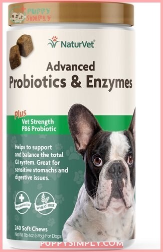 NaturVet Advanced Probiotics & Enzymes