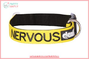 Nervous (Give Me Space) Yellow B00MYBVTEE