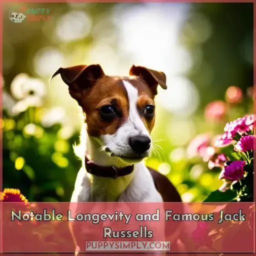 Notable Longevity and Famous Jack Russells