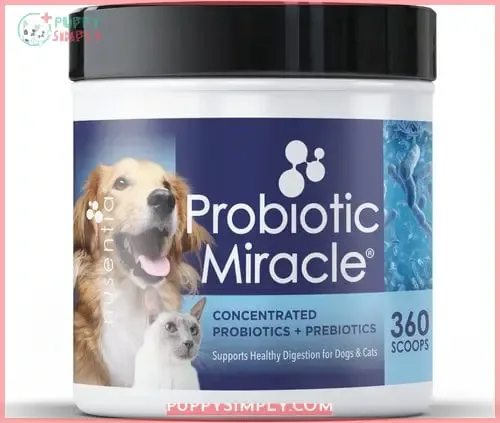 Nusentia Probiotic Miracle Premium Blend