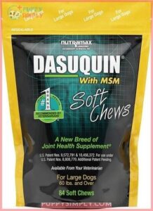 Nutramax Dasuquin Hip & Joint 35850