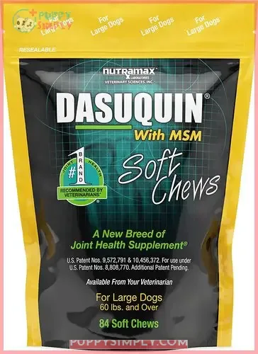 Nutramax Dasuquin Hip & Joint