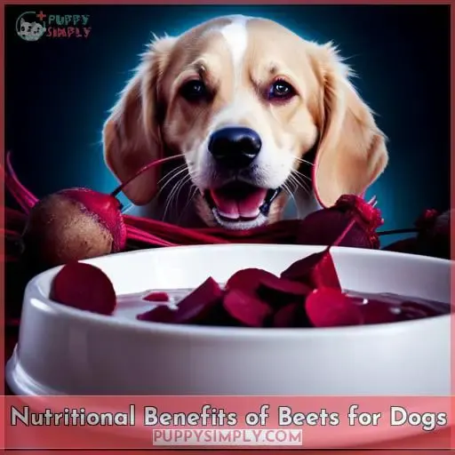 Nutritional Benefits of Beets for Dogs