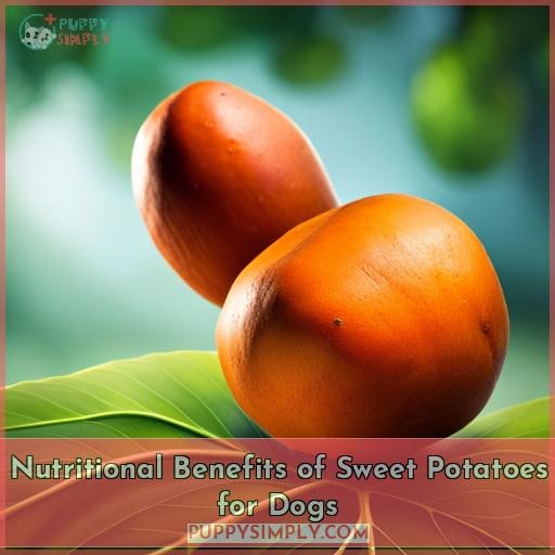 Nutritional Benefits of Sweet Potatoes for Dogs