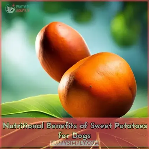 Nutritional Benefits of Sweet Potatoes for Dogs