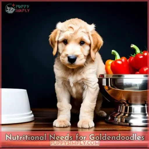 Nutritional Needs for Goldendoodles