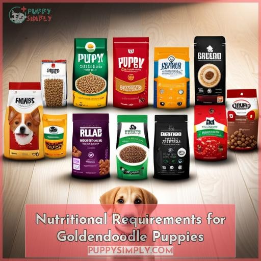 Nutritional Requirements for Goldendoodle Puppies