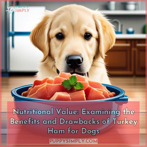 Nutritional Value: Examining the Benefits and Drawbacks of Turkey Ham for Dogs