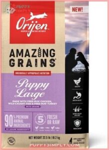 ORIJEN Amazing Grains Puppy Large 380301