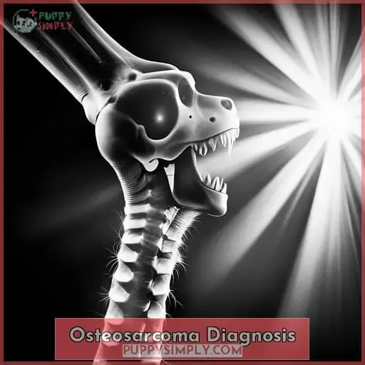 Osteosarcoma Diagnosis