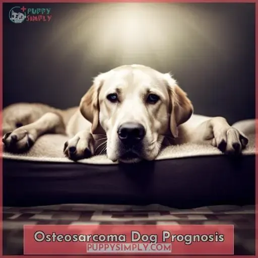 Osteosarcoma Dog Prognosis