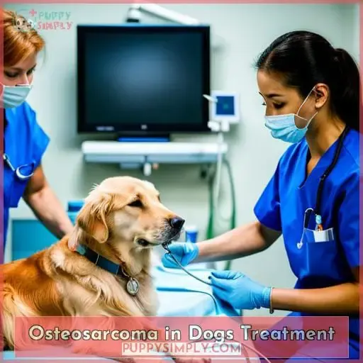 Osteosarcoma in Dogs Treatment