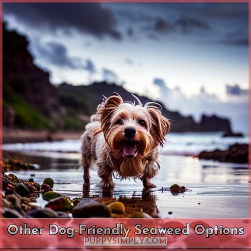 Other Dog-Friendly Seaweed Options