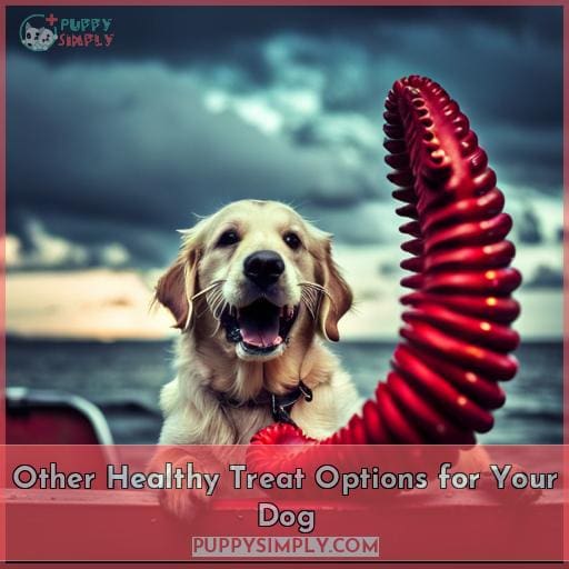 Other Healthy Treat Options for Your Dog