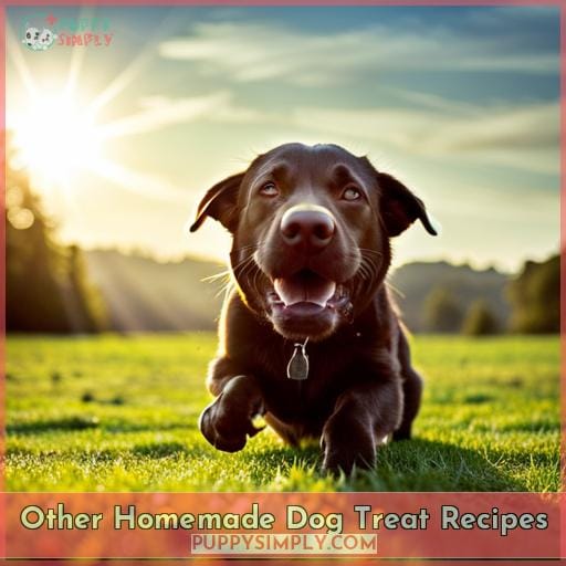 Other Homemade Dog Treat Recipes