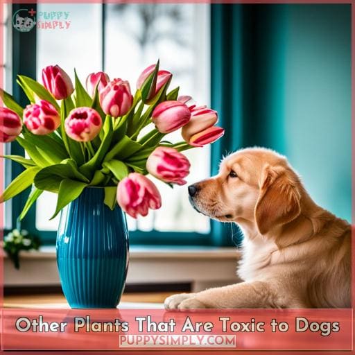 Other Plants That Are Toxic to Dogs
