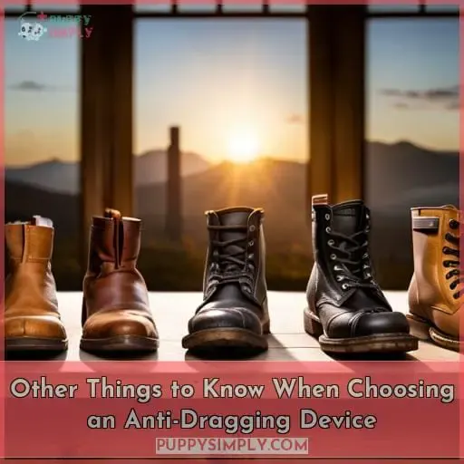 Other Things to Know When Choosing an Anti-Dragging Device