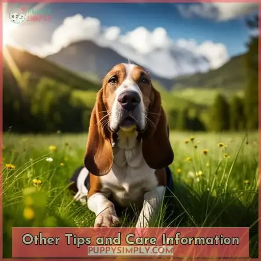 Other Tips and Care Information