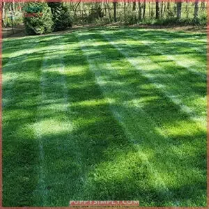 Outsidepride Midnight Kentucky Bluegrass Cool