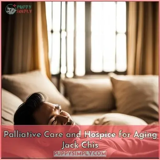 Palliative Care and Hospice for Aging Jack Chis