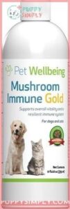 Pet Wellbeing Mushroom Immune GOLD 207026