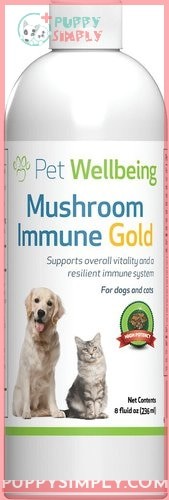 Pet Wellbeing Mushroom Immune GOLD
