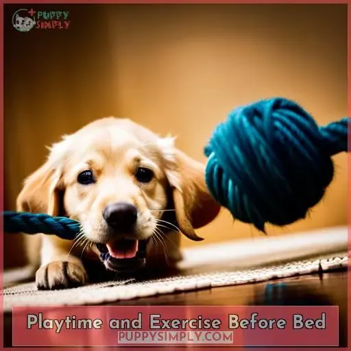 Playtime and Exercise Before Bed