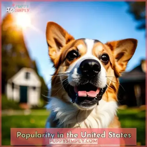 Popularity in the United States