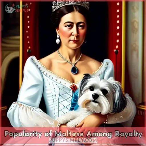 Popularity of Maltese Among Royalty